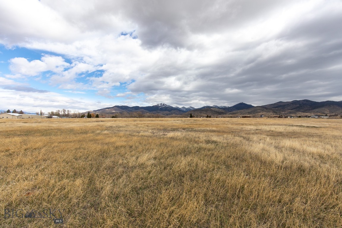 Homestead Major Sub - Land