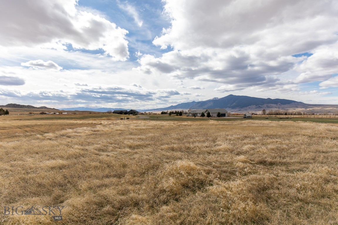 Homestead Major Sub - Land