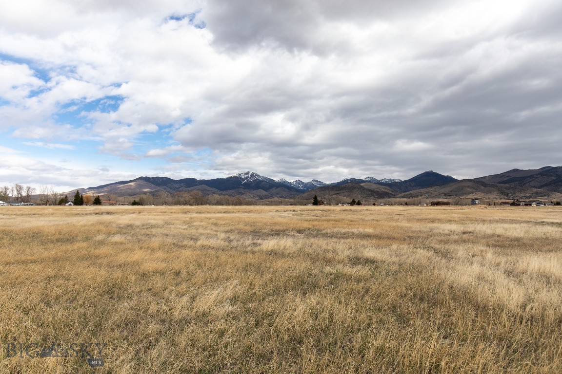 Homestead Major Sub - Land