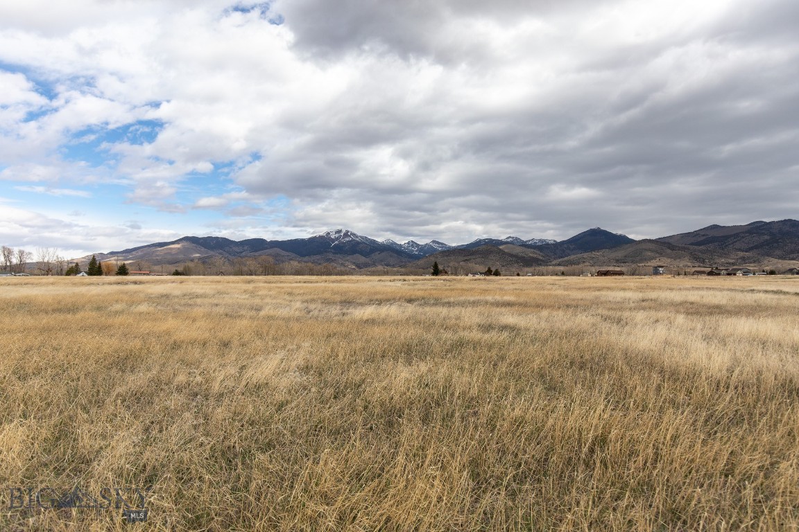 Homestead Major Sub - Land