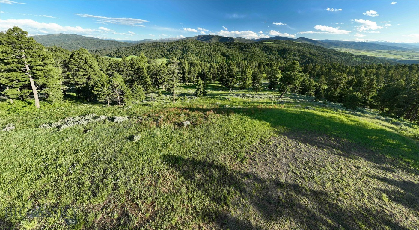 North Pass Ranches - Farm