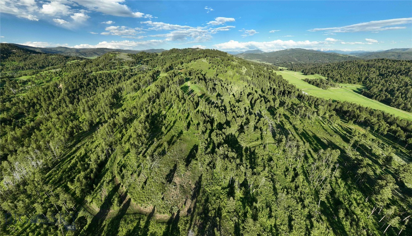 North Pass Ranches - Farm