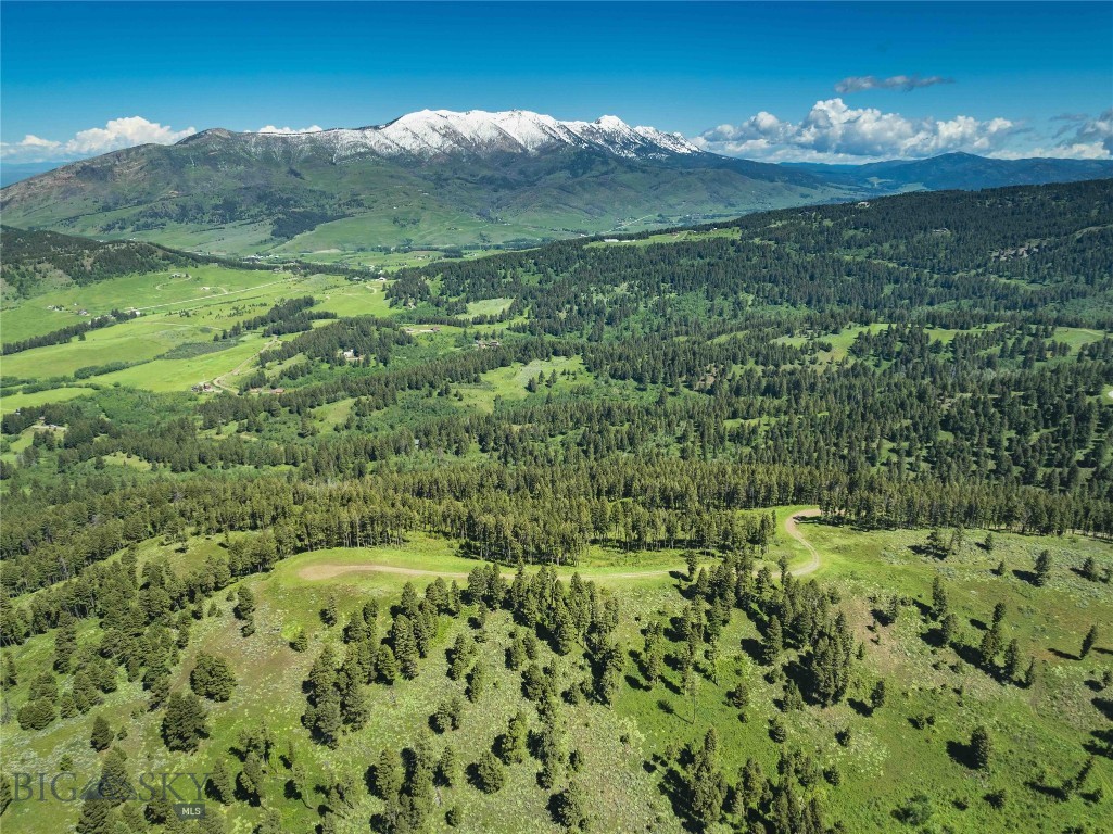 North Pass Ranches - Farm
