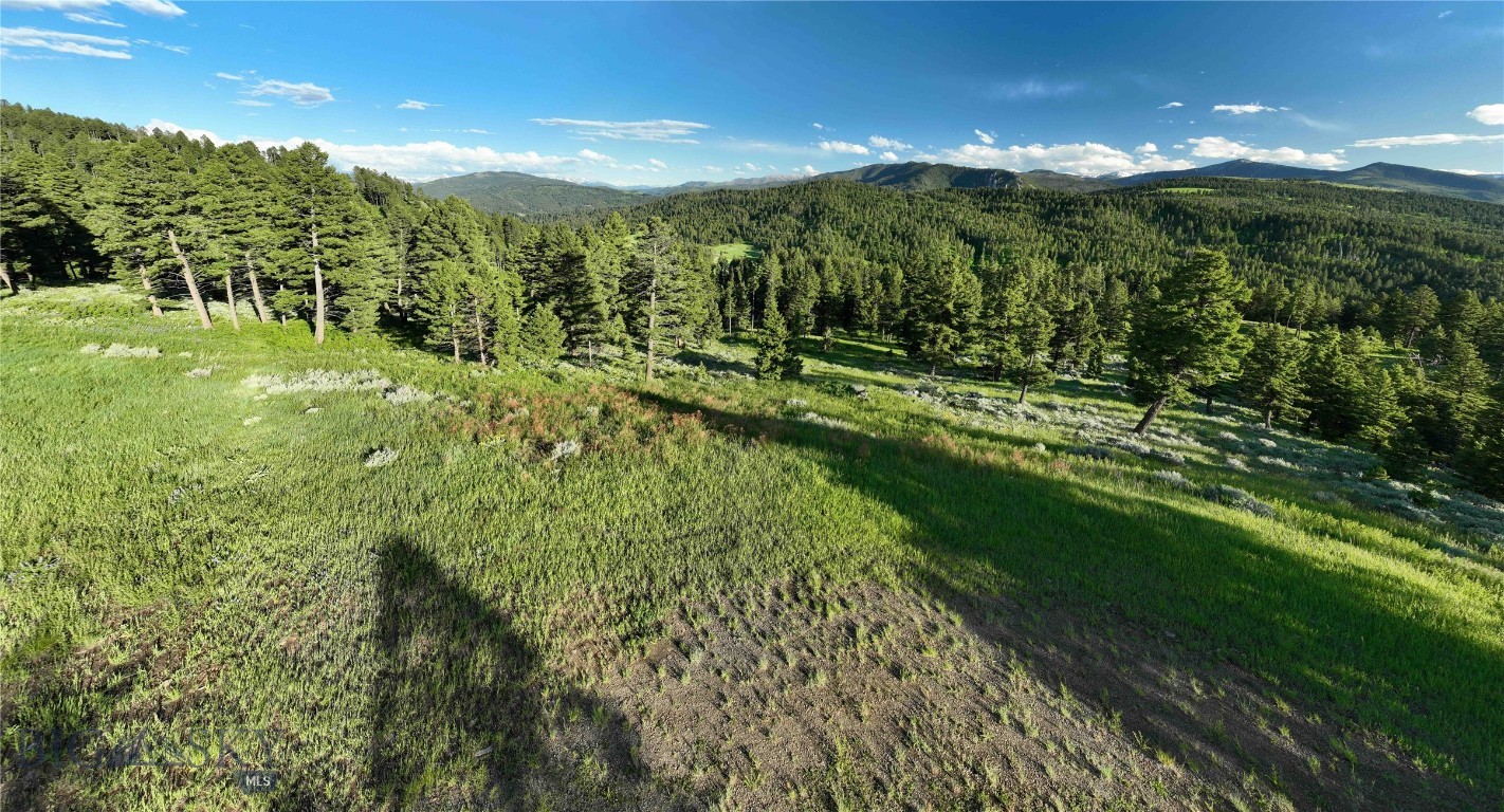 North Pass Ranches - Farm