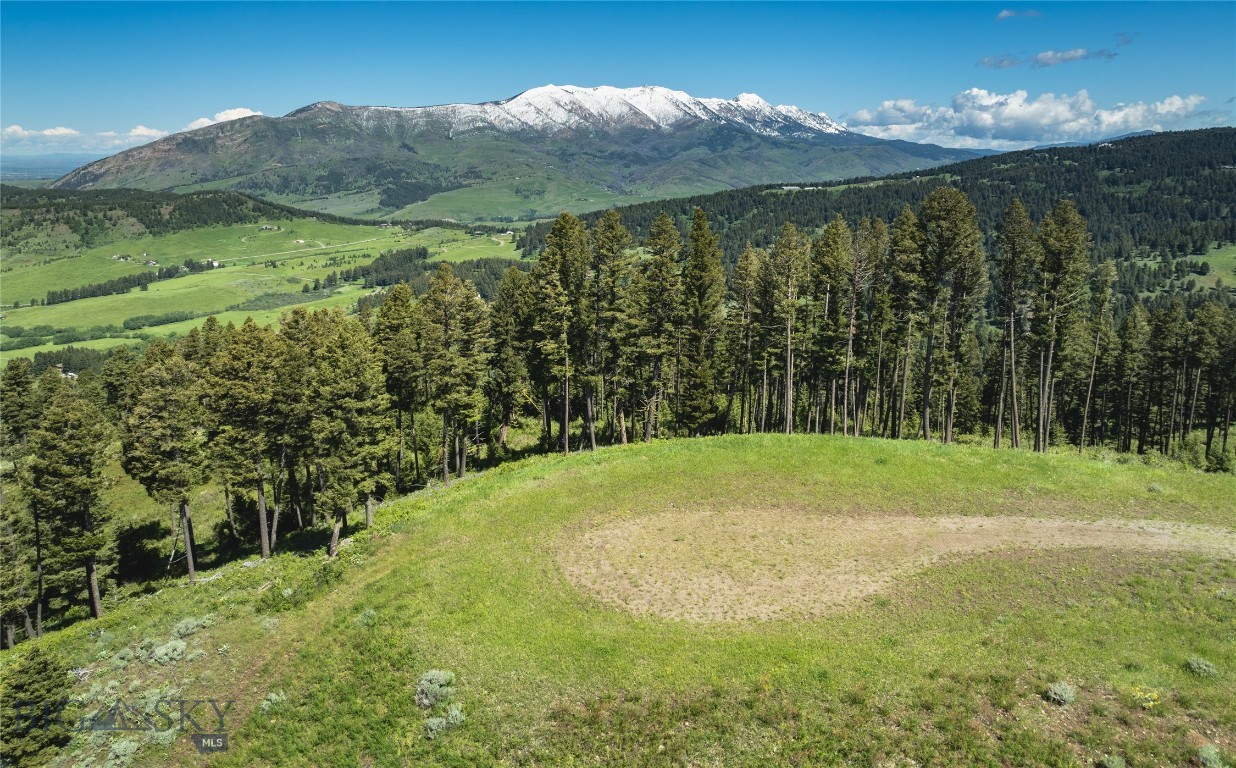North Pass Ranches - Farm