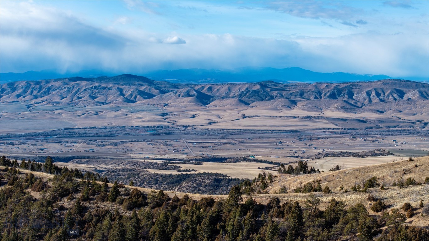 Ponderosa Pines - Land