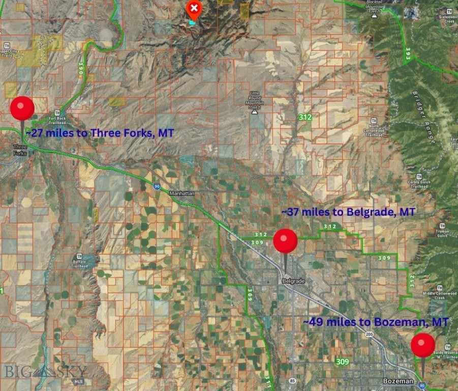 Ponderosa Pines - Land