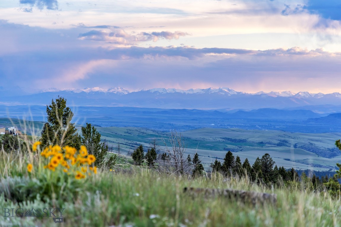 1435 Lone Wolf Trail