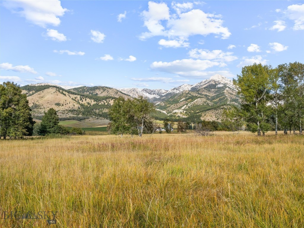 Other - Farm