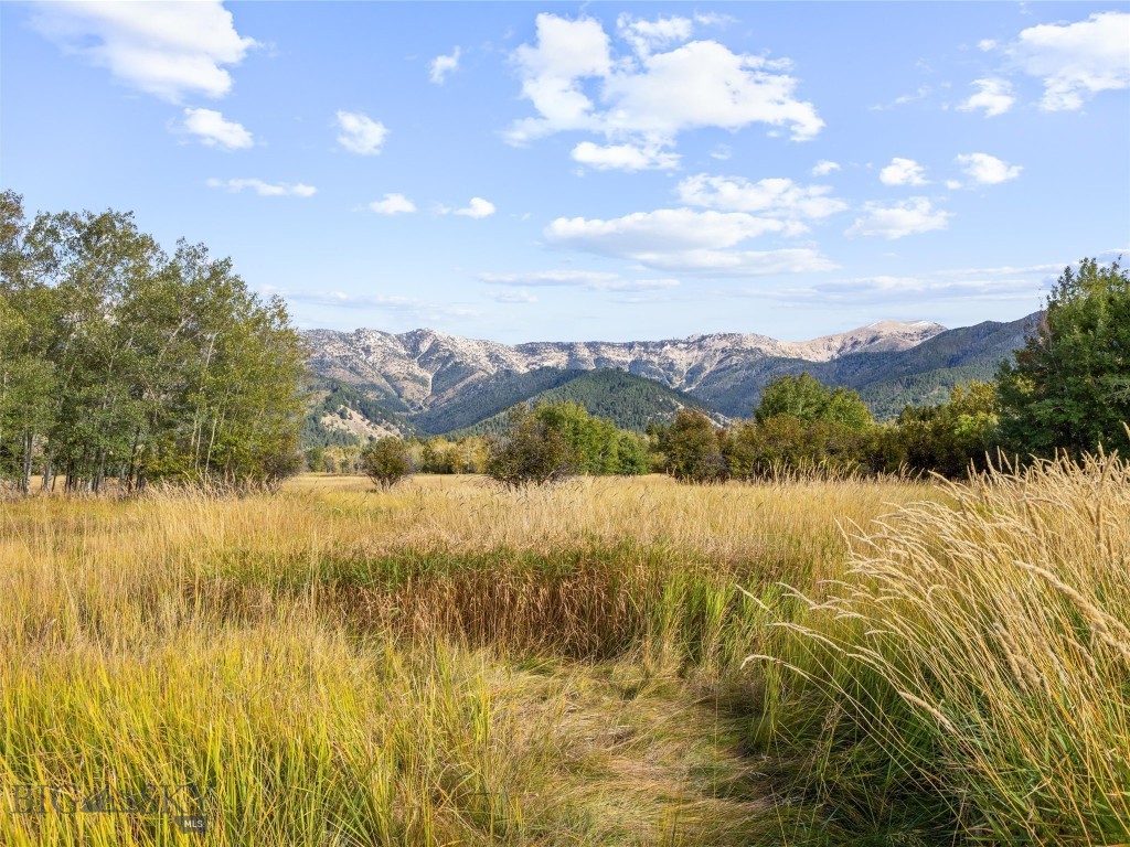 Other - Farm