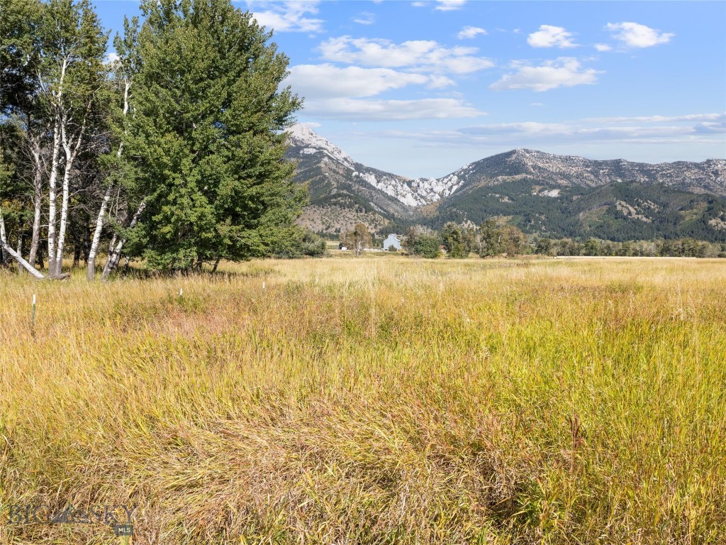 Other - Farm