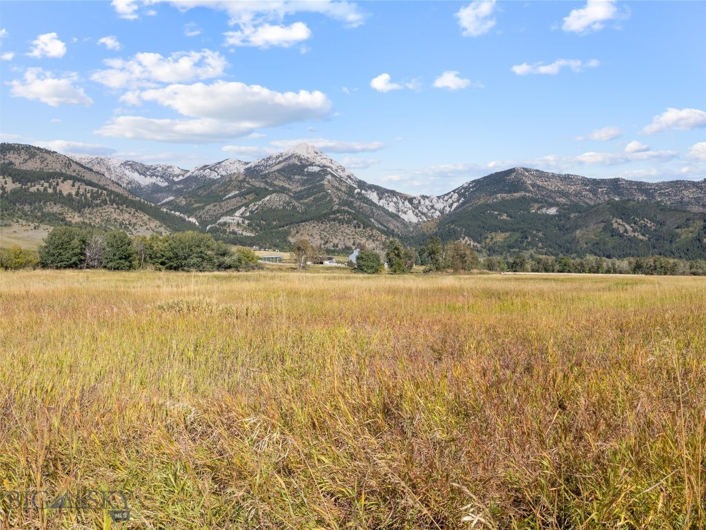 Other - Farm