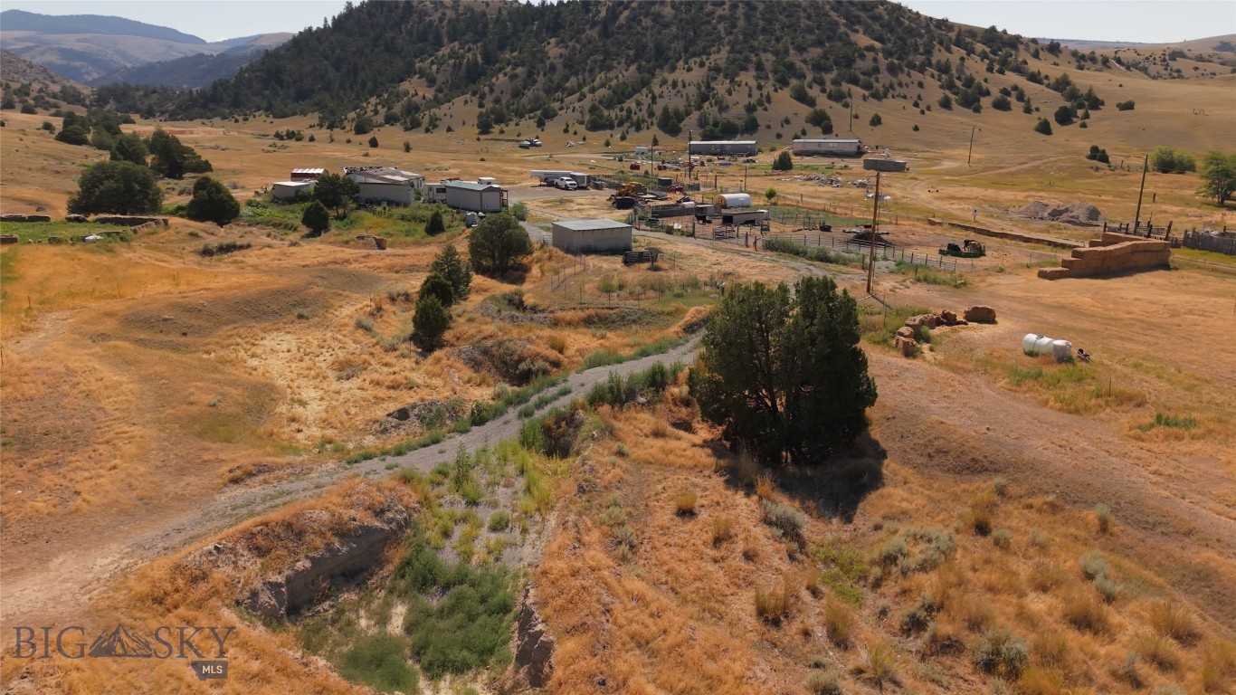 Ponderosa Pines - Land