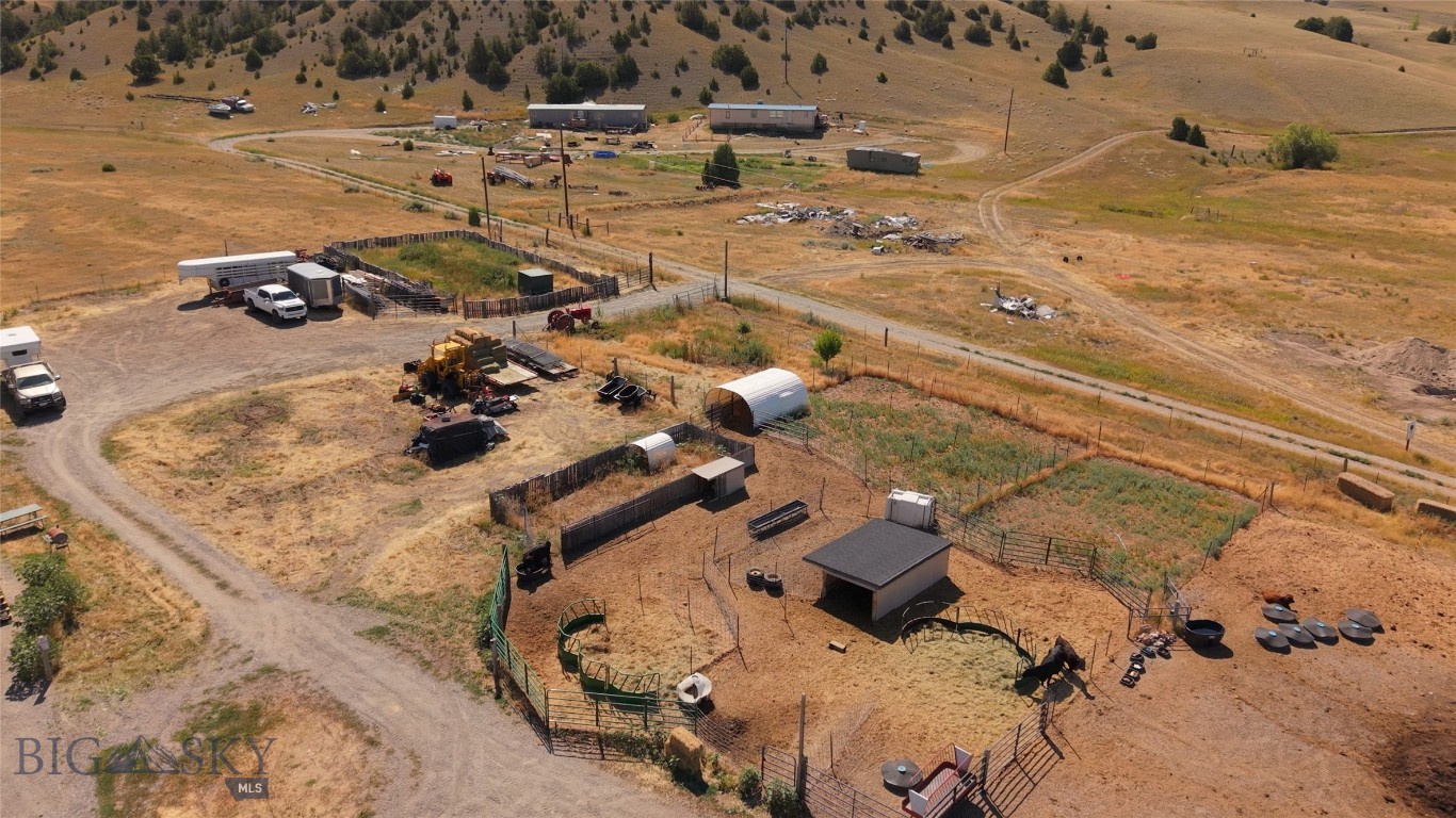 Ponderosa Pines - Land