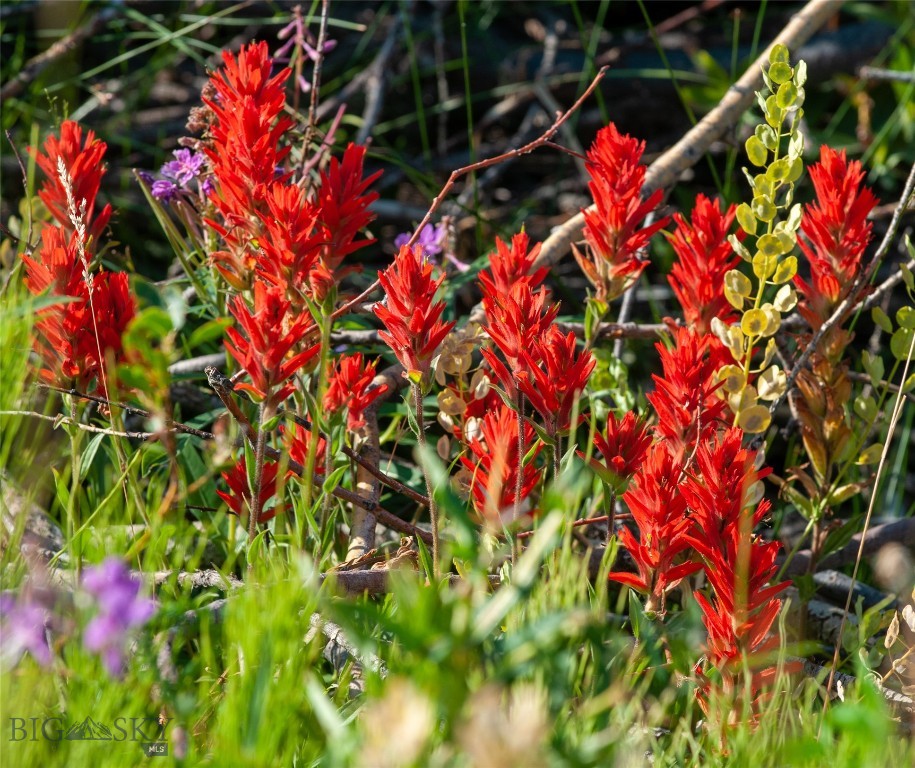 43615 MT Highway 278