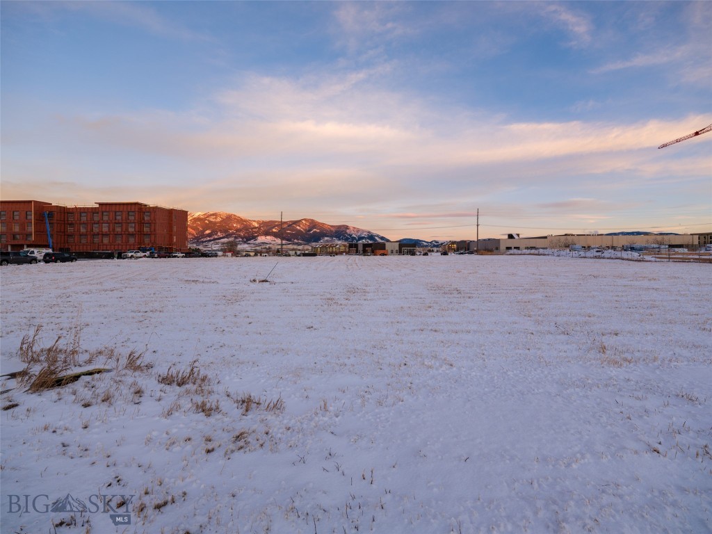 Certificate Of Survey COS - Land