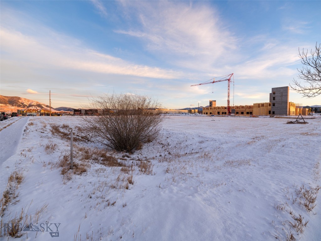 Certificate Of Survey COS - Land