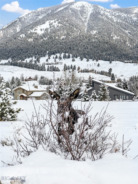 Meadow Village - Residential