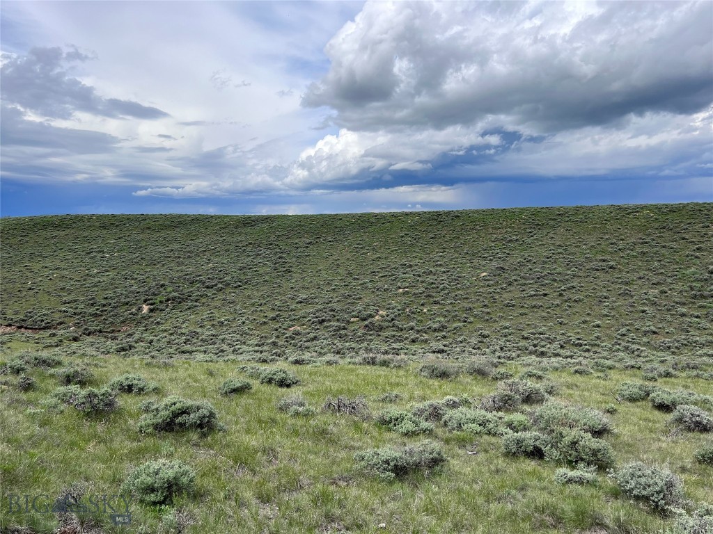 Located in the heart of Big Hole Country near the small quaint town of Wisdom, MT are a cluster of 20+ acre parcels that will make you an excellent location for your new home. Some parcels are bordered by a ranch under a conservation easement helping to protect magnificent mountain views, seclusion and privacy. Call listing agent for a full list of available lots!! Sub-division accessed by the county maintained Steel Creek Road, you are only minutes from National Forest lands adding tens of thousands of acres awaiting your exploration. The historic Big Hole Battlefield, Elkhorn Hot Springs, Jackson Hot Springs, Crystal Park, Chief Joseph Cross Country Ski Trails & Maverick Ski hill, Bannack State Park, Kayaking & Canoeing, River Rafting, and of course.....Montana Blue Ribbon Trout fishing could all be a part of your new playground. The properties have level ground, draws and gently sloping foothills creating interesting topography and power is available in the area and along some lot boundaries. In Montana you don't just buy a property - you purchase a new lifestyle. Don't miss this opportunity to begin your new life today.