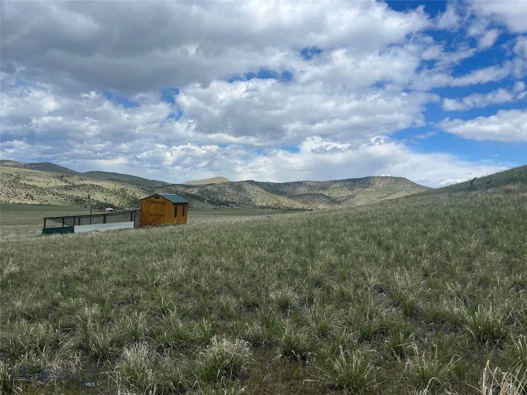 Ponderosa Pines - Land