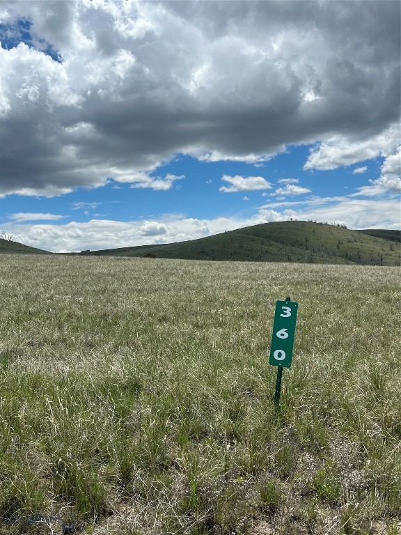 Ponderosa Pines - Land