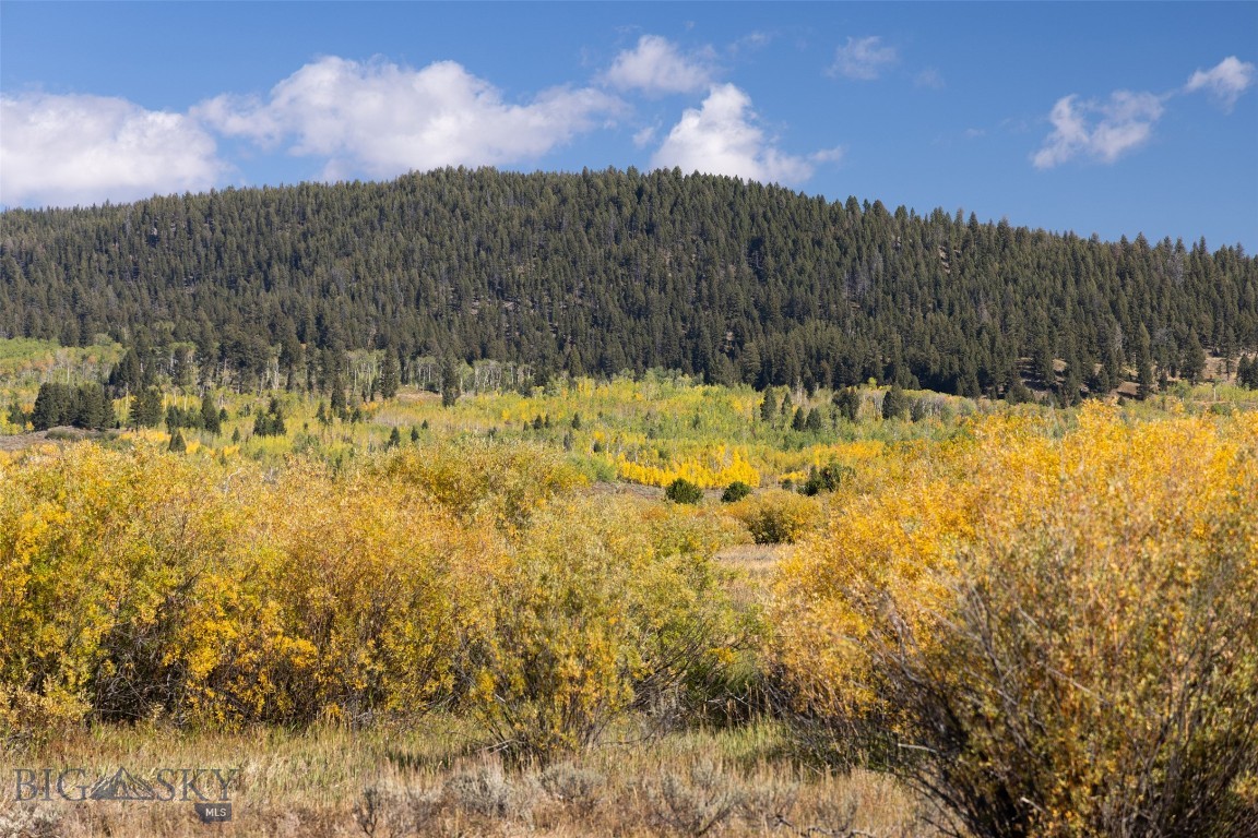 Bear Trap Ranch - Residential
