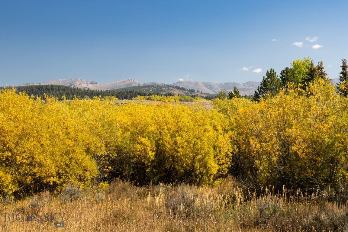 Bear Trap Ranch - Residential