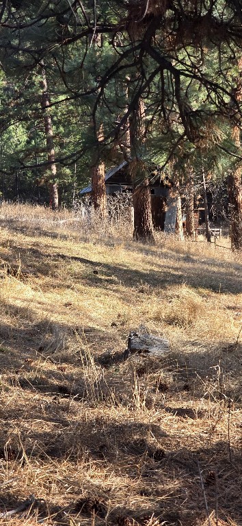 211 WARM SPRINGS CREEK RD