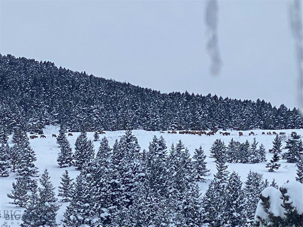 Yellowstone Basin Properties - Residential