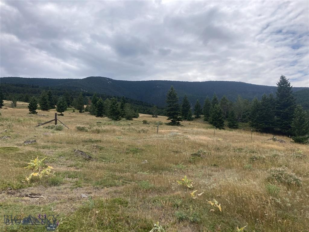 Yellowstone Basin Properties - Residential