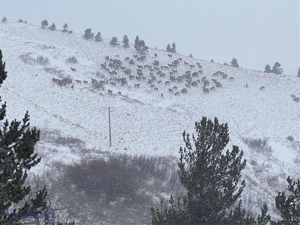 Yellowstone Basin Properties - Residential