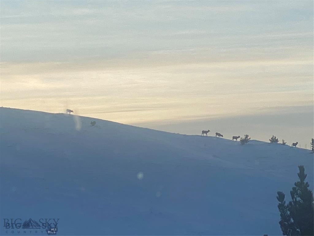 Yellowstone Basin Properties - Residential