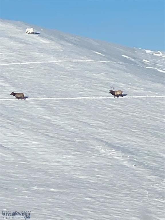 Yellowstone Basin Properties - Residential