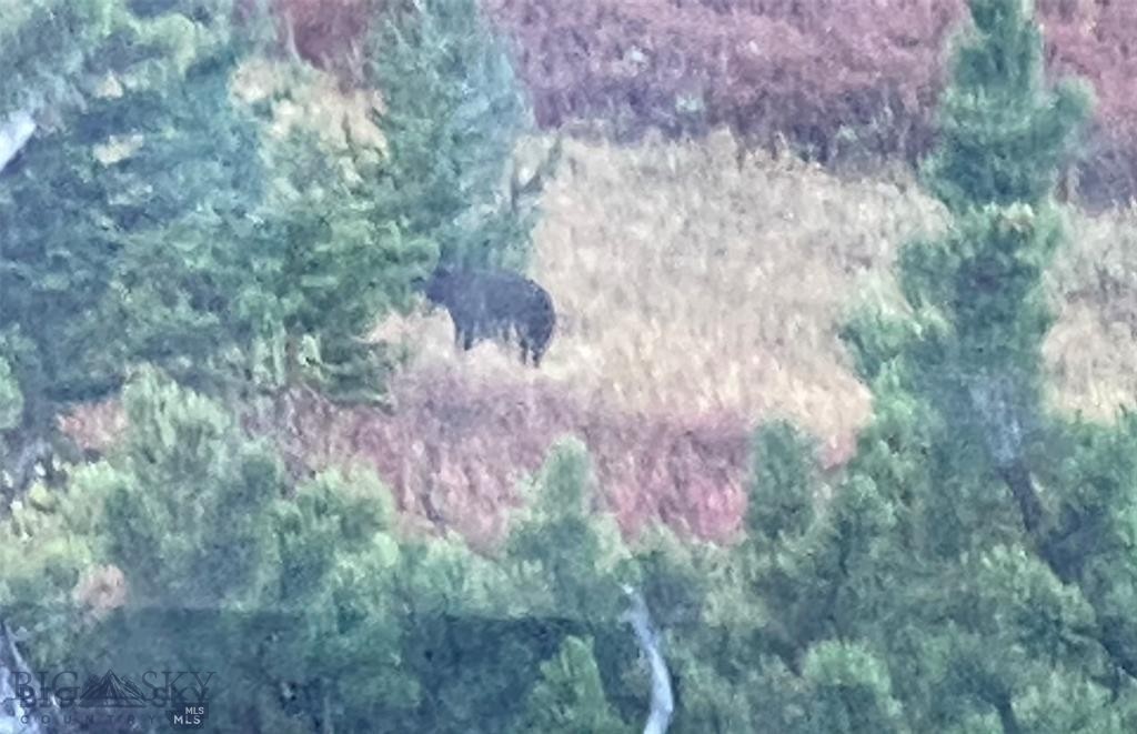 Yellowstone Basin Properties - Residential