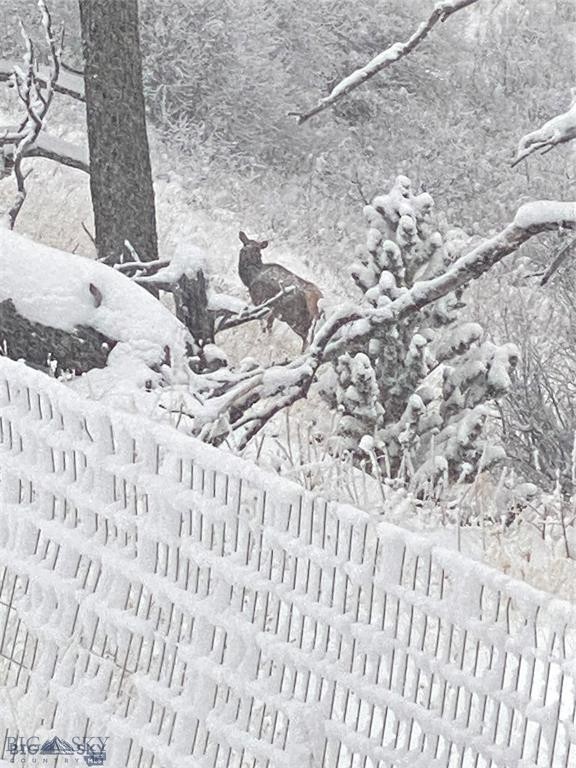 Yellowstone Basin Properties - Residential