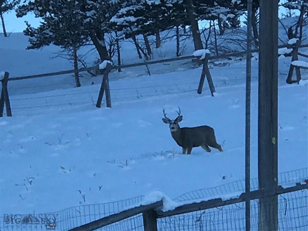 Yellowstone Basin Properties - Residential