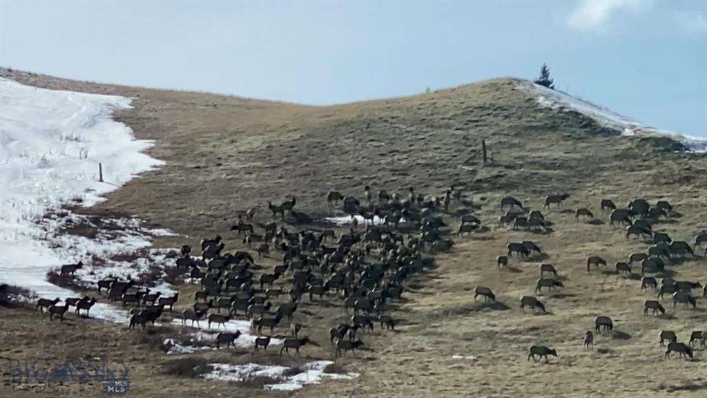 Yellowstone Basin Properties - Residential