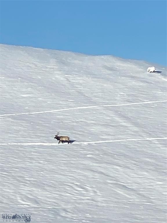 Yellowstone Basin Properties - Residential