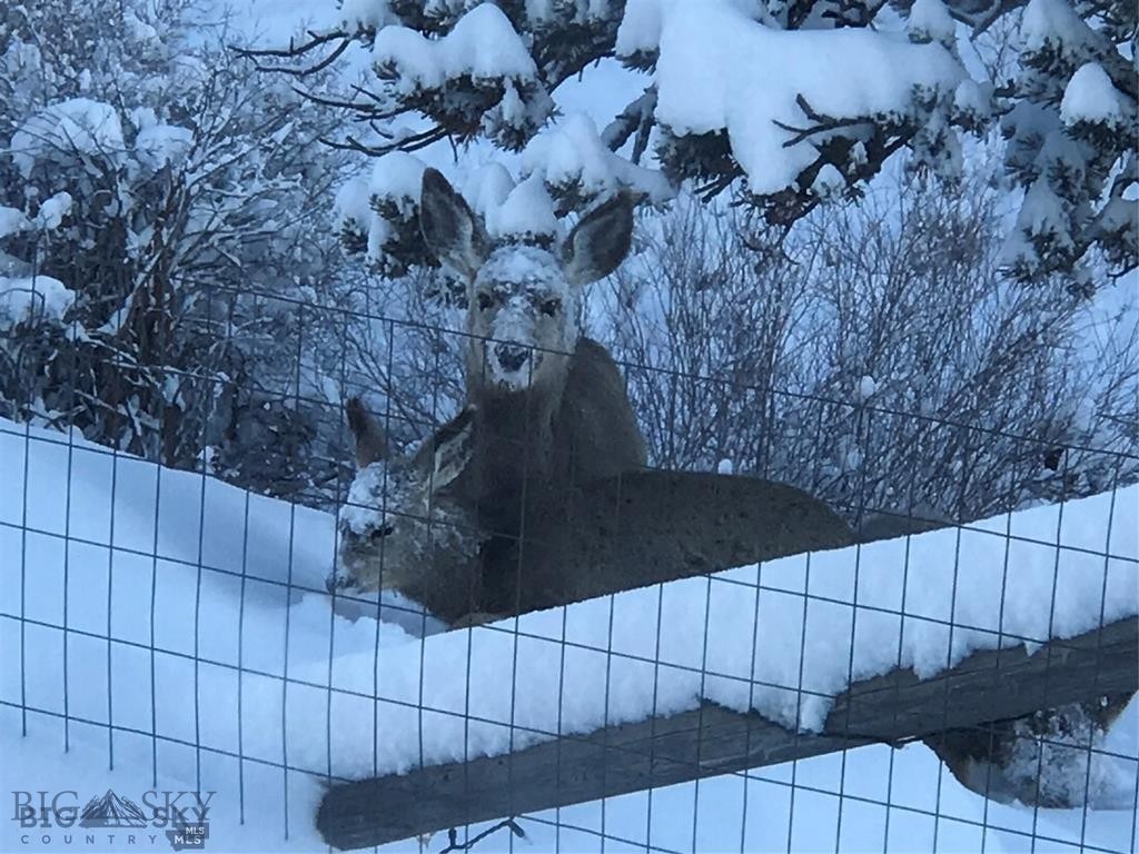 Yellowstone Basin Properties - Residential