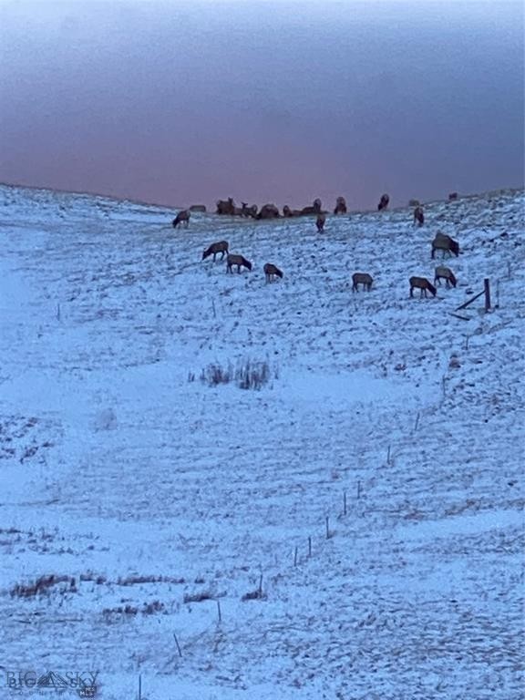 Yellowstone Basin Properties - Residential