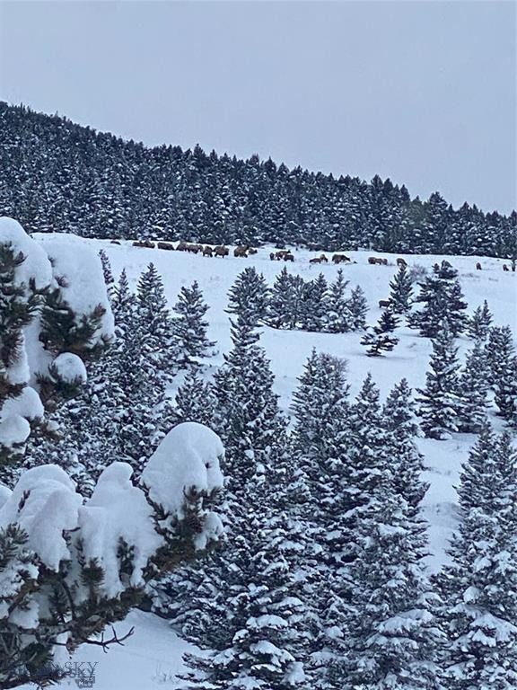 Yellowstone Basin Properties - Residential