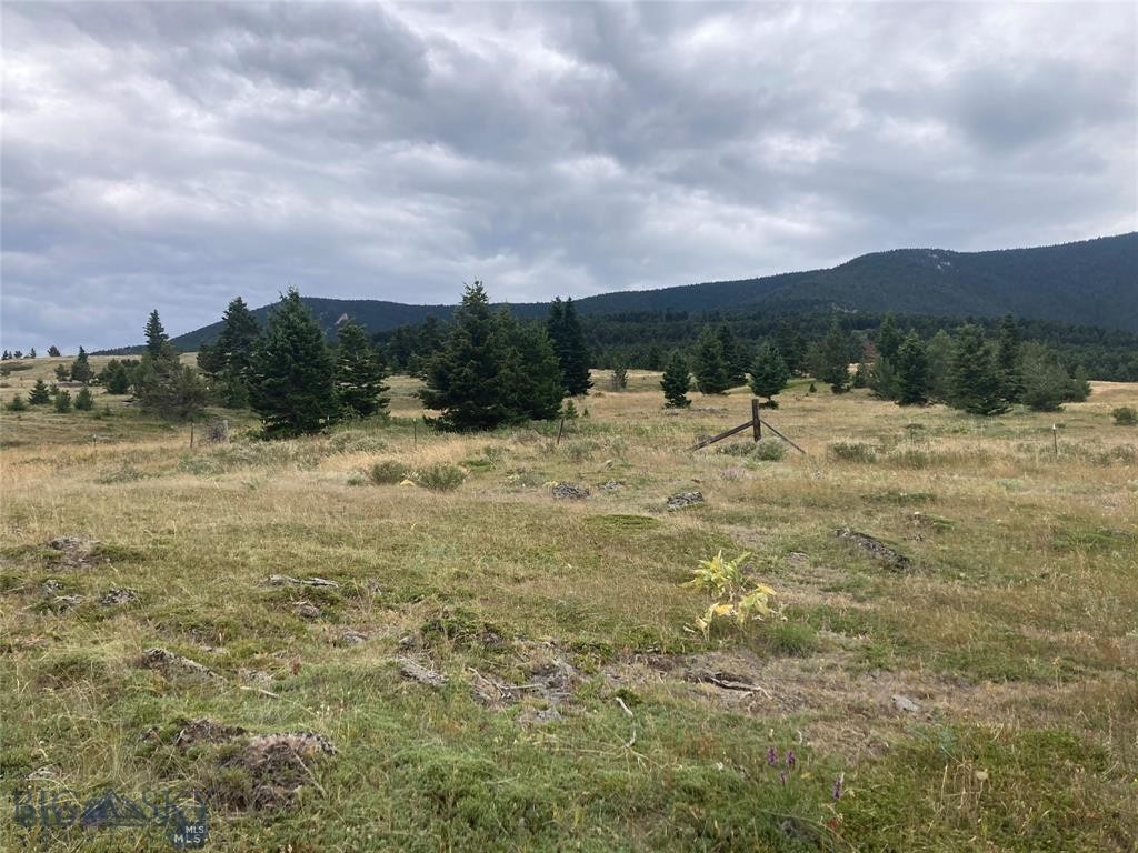 Yellowstone Basin Properties - Residential