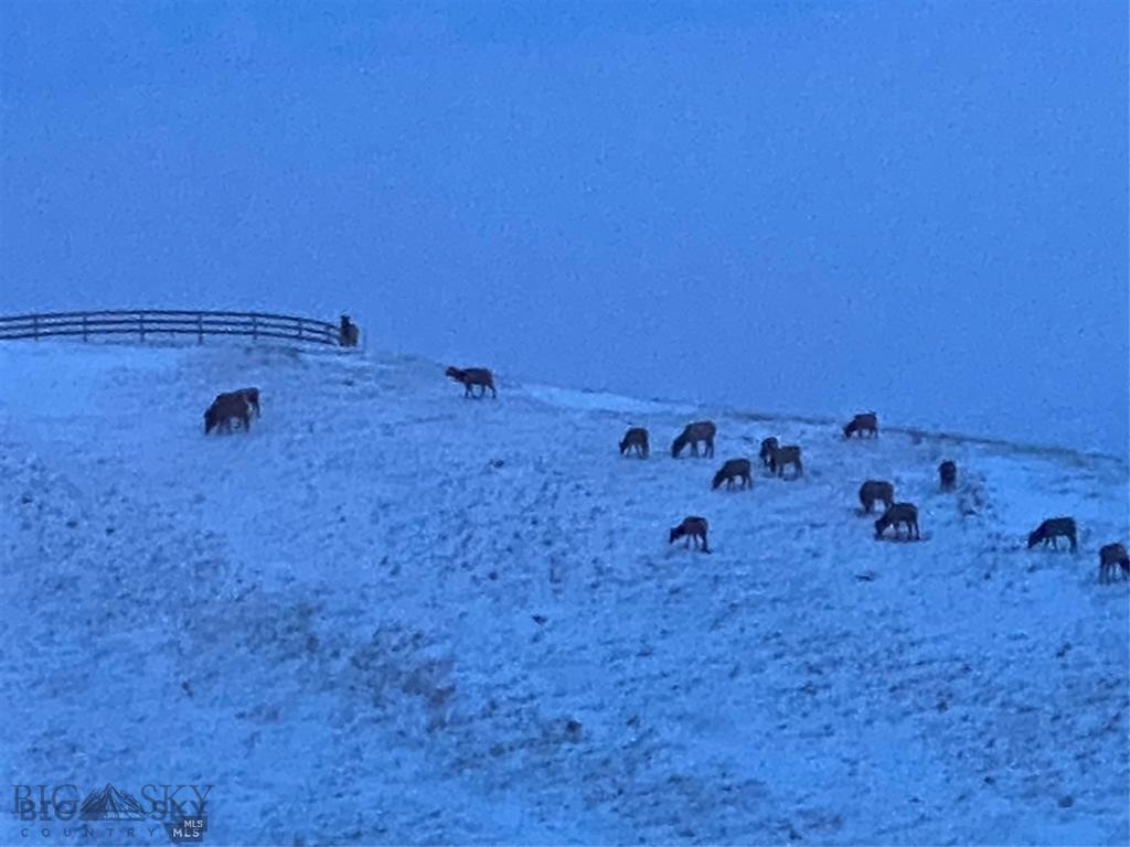 Yellowstone Basin Properties - Residential