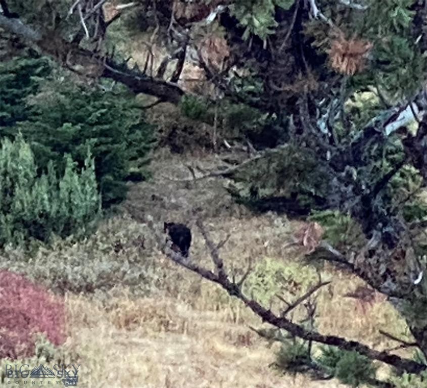 Yellowstone Basin Properties - Residential