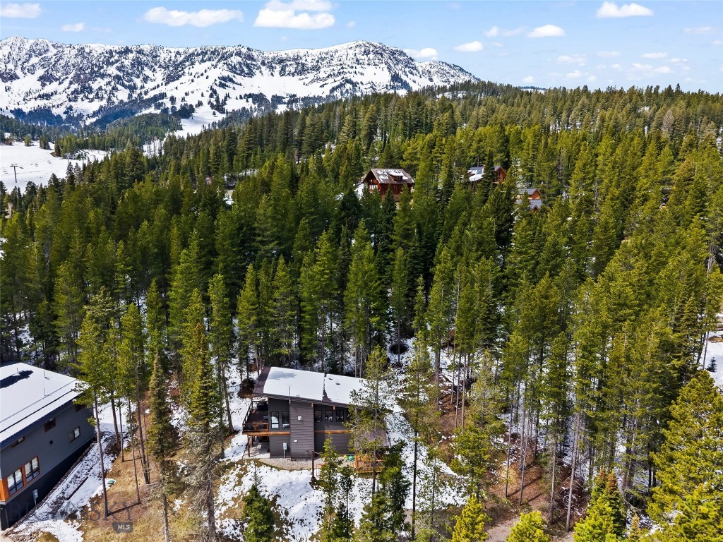 Bridger Pines - Residential