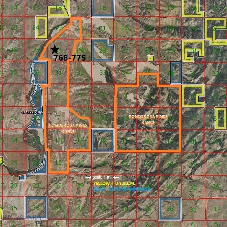 Ponderosa Pines - Land