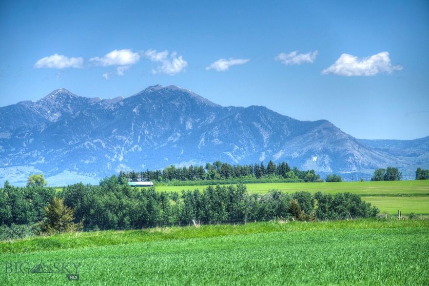 Misty Creek presents The Peak! Ascending a gentle hill, the 80 acre landscape unfolds before your eyes, revealing panoramic views of majestic mountains and sprawling valleys.  A newly paved road winds up to this stunning property that offers endless opportunities. Overlooking serene creeks, tranquil ponds, and expansive valleys, this land is a rare gem with limitless potential.  A 20 minute drive to Downtown Bozeman, 30 minutes to the international airport, and 40 minutes to Big Sky world-class resort. The Peak is part the 241 acre Misty Creek Ranch, also available for purchase, offering unparalleled beauty and boundless potential.