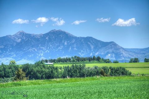 13830 (Tract D) Cottonwood Road Bozeman MT 59718