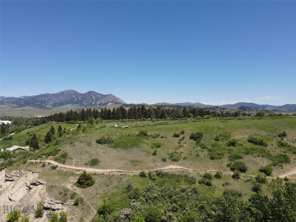 Dahlinger Court Condo - Residential