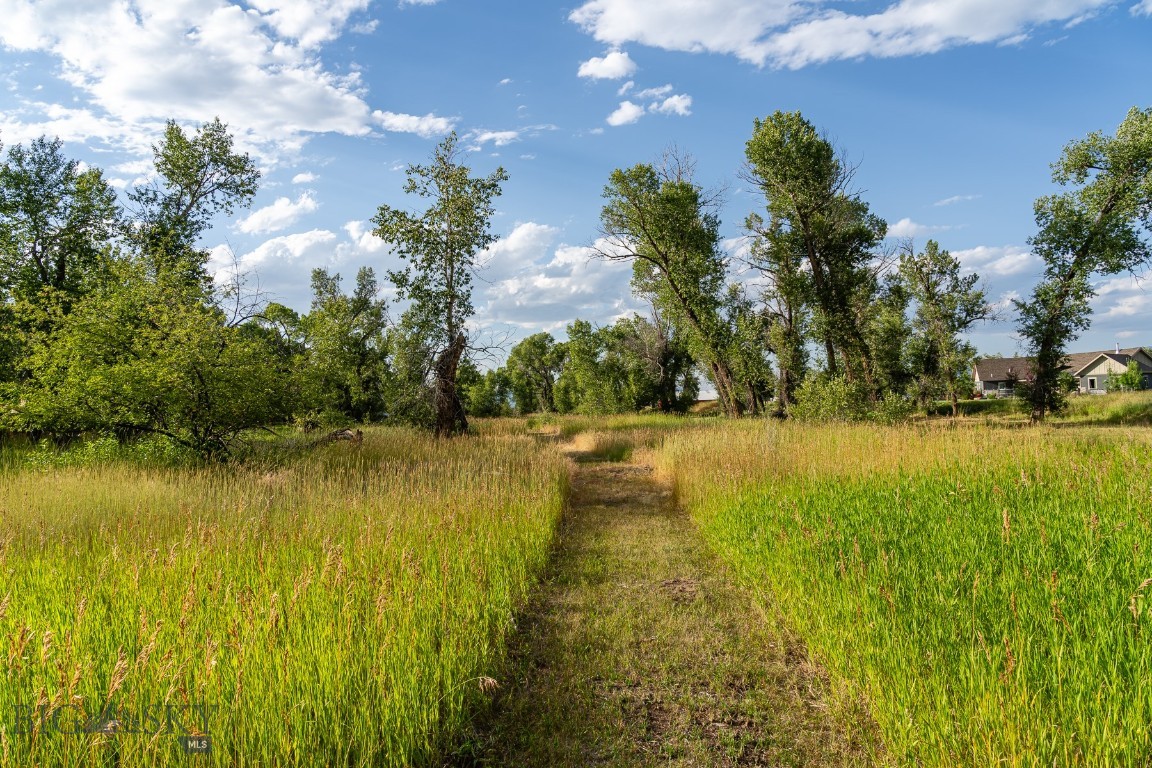 Gallatin River Farm North - Land